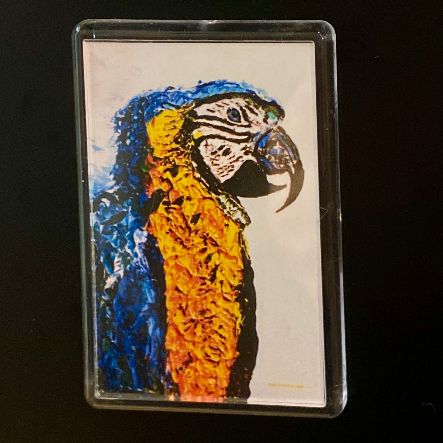 Macaw Magnet
