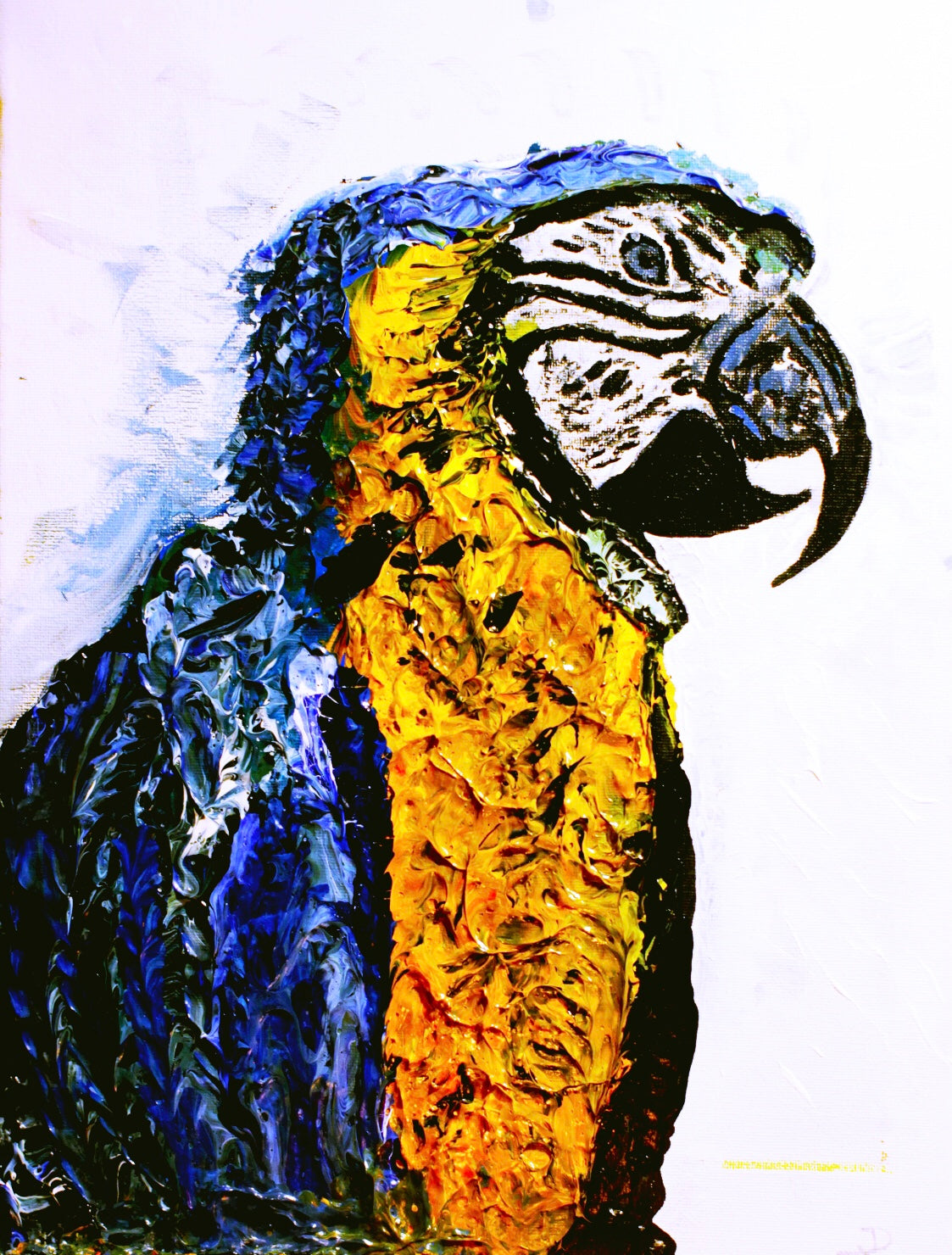Macaw Magnet