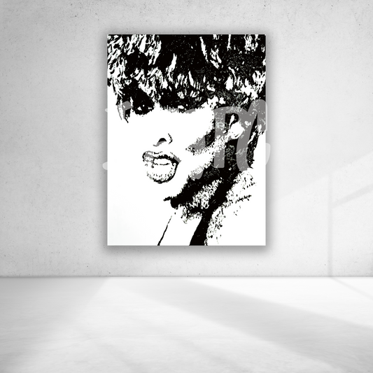 Tina Turner Canvas